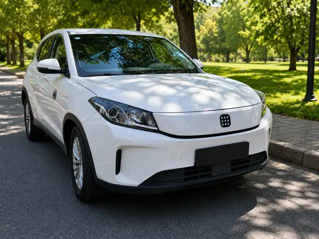 Dongfeng Landian E5