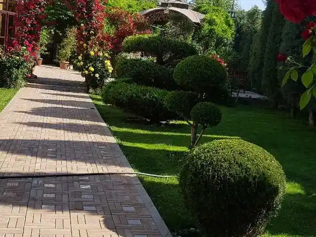 Услуга садовника, Худжанд