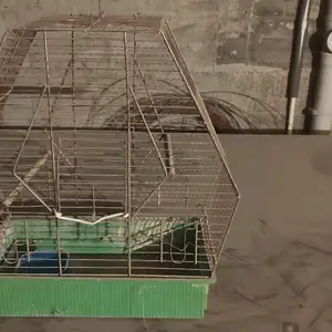 Клетка для птиц, Худжанд