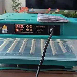 Инкубатор автоматический 220v+12v, Худжанд