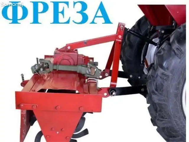 Фрейза, Душанбе