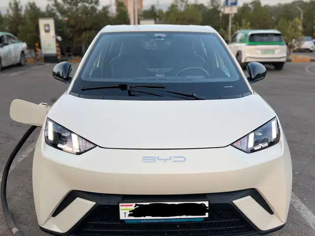 BYD Seagull