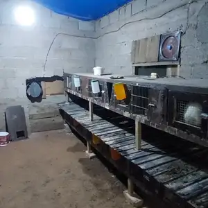 Клеткахо, Душанбе