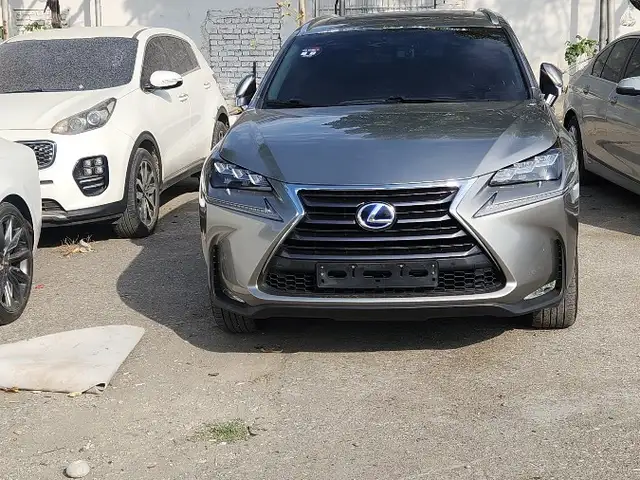 Lexus NX series