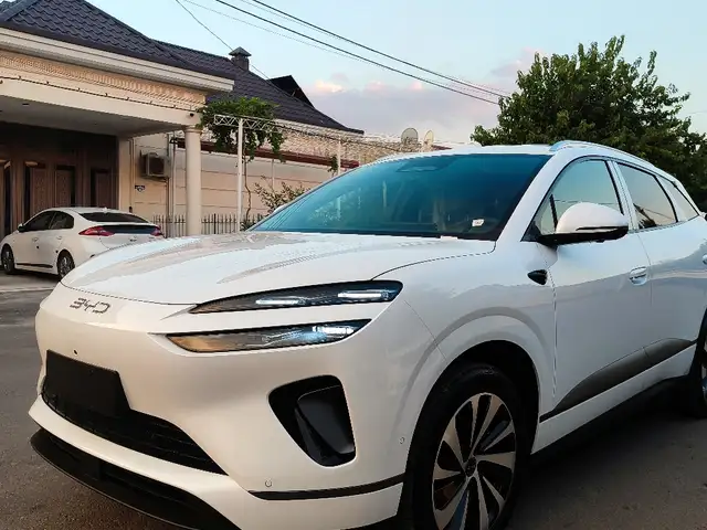 BYD Sea Lion 06