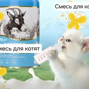 Козье молоко для котят, Худжанд