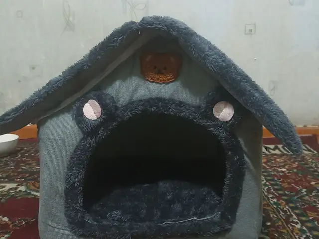 Серый домик с ушками, Душанбе