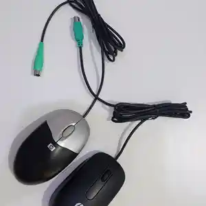 Мышка HP, Душанбе