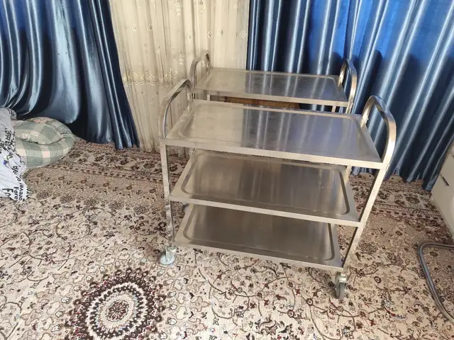 Тележки для посуды, Душанбе