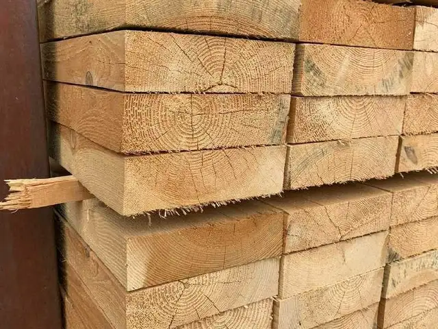 Тахтахои Сосна, Душанбе