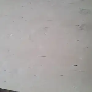 Фанер ФК, Худжанд