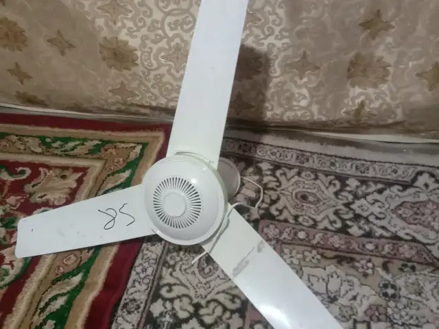 Вентилятор, Рӯдакӣ