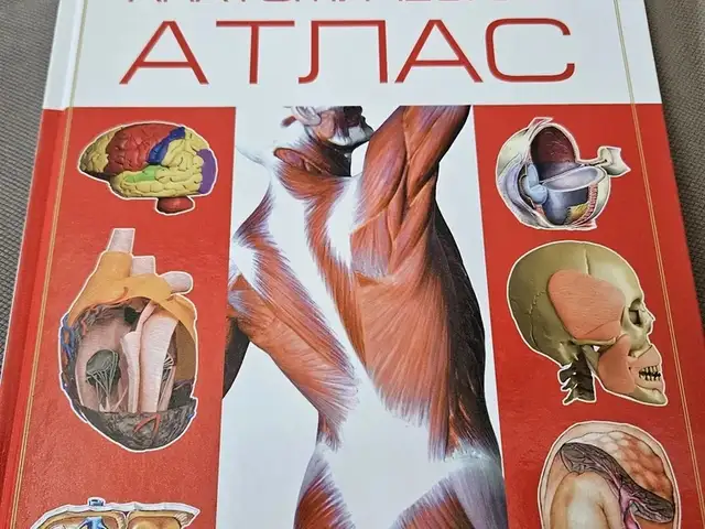 Анатомический атлас, Душанбе