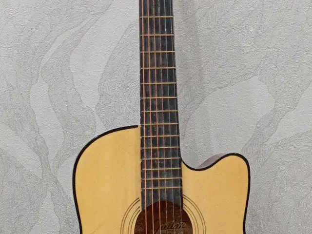 Гитара модел zs -1nat, Истаравшан