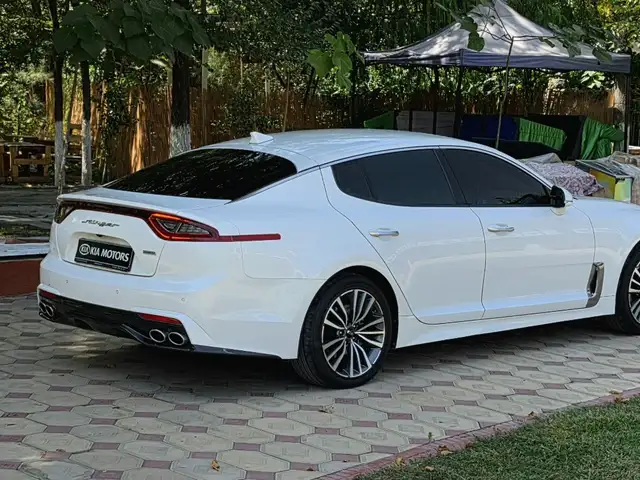 Kia Stinger, 2019, Турсунзаде - 4