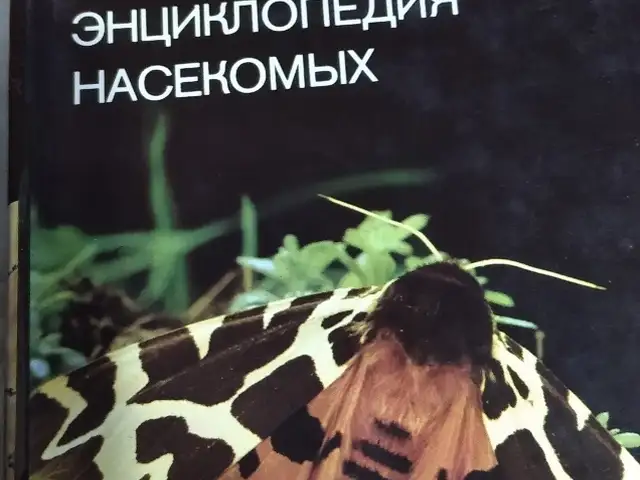 Книга Иллюстрированная энциклопедия насекомых, Душанбе
