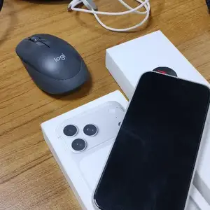 Apple iPhone 17 Pro Max, 256 gb, Silver, Душанбе
