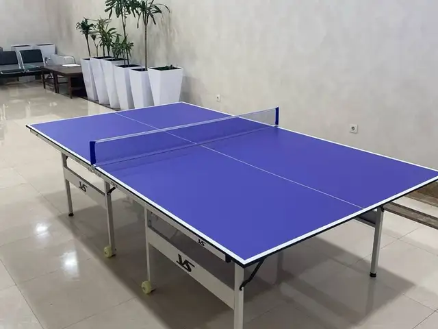 Теннисный стол, Душанбе