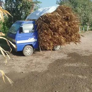 Хошоки чуворимакка, Бободжон Гафуров