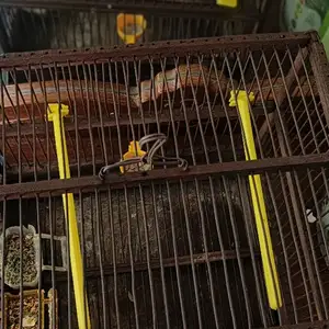 Клетка, Душанбе