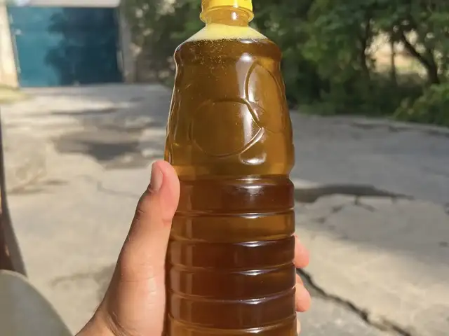 Равгани загер, Рудаки