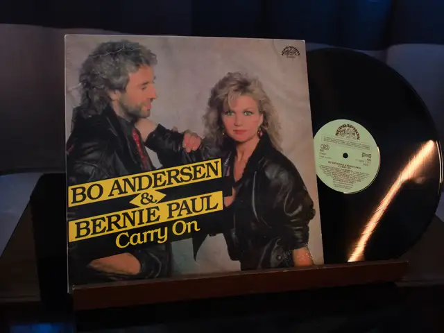 Пластинка Bo Andersen and BERNIE PAUL. Carry On., Бустон (Чкаловск)