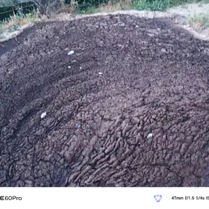 Поруи гов ва гусфанд, Шахринав