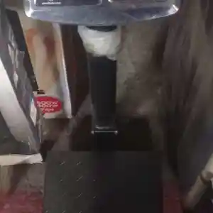 Весы, Душанбе