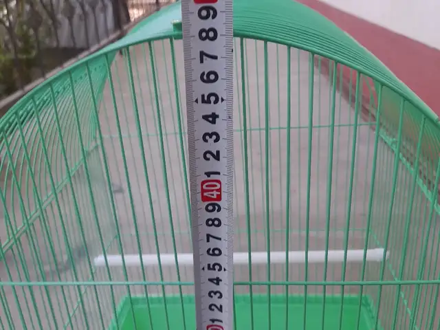 Клетка, Рӯдакӣ