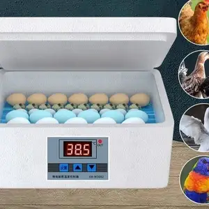Инкубатор, Душанбе