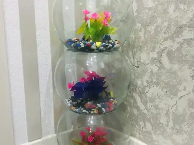 Аквариум круглый, Хуҷанд