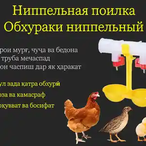 Поилка/Обхураки дутагаи ниппелӣ, Душанбе