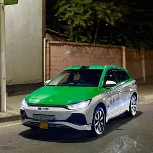 BYD E2