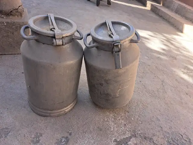 Фляги, Душанбе