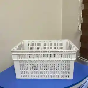 Ящик 25кг, Хуҷанд