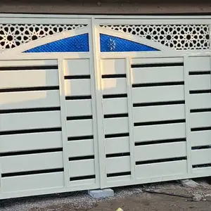 Ворота, Душанбе