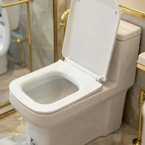 Унитаз Касра, Душанбе