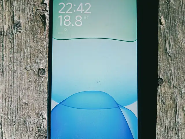 Xiaomi Redmi 13, Гиссар