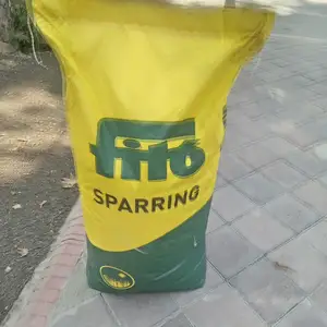 Тухми газон, Душанбе