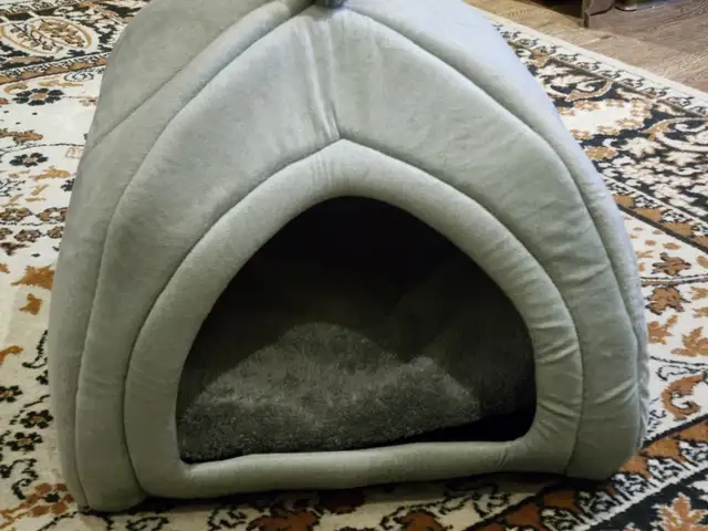 Домик для кошки, Хуҷанд