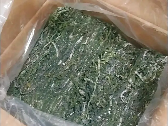 Морская капуста, Душанбе