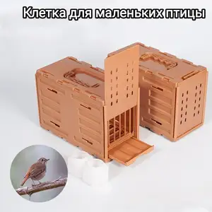 Клетка для маленьких птиц, Душанбе