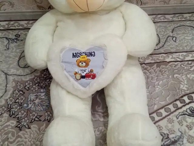 Мягкая мишка, Худжанд