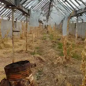 Парник в аренду, Хуҷанд