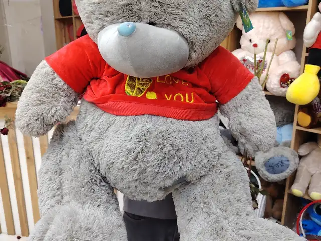 Мишка тедди, Душанбе