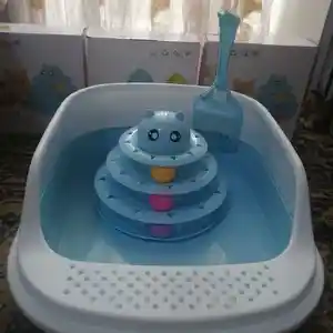 Комплект для кошки, Душанбе