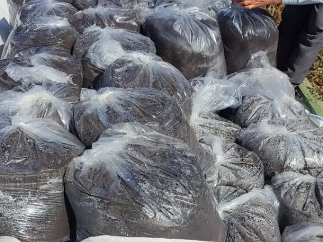 Биогумус, Хуҷанд