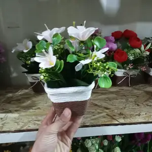 Гул, Душанбе