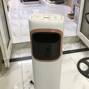 Мобильный кондиционер, Душанбе