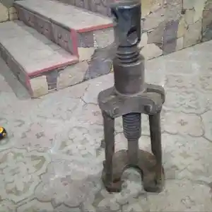 Съемник советский, Худжанд